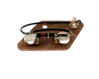 Luxe Les Paul or SG Junior Bumblebee Pre-Wired Kit
